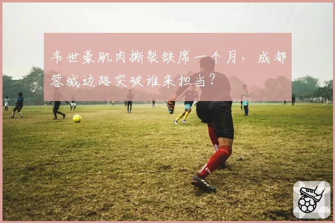 韦世豪肌肉撕裂缺席一个月，成都蓉城边路突破谁来担当？