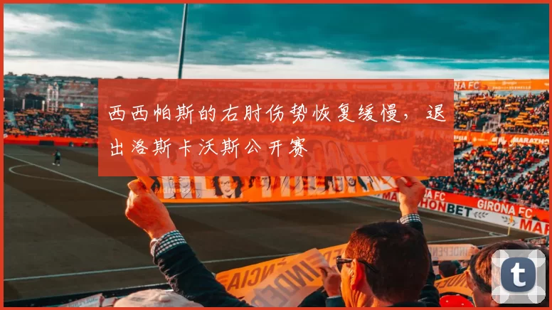 西西帕斯的右肘伤势恢复缓慢，退出洛斯卡沃斯公开赛