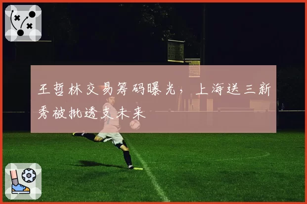 王哲林交易筹码曝光,上海送三新秀被批透支未来
