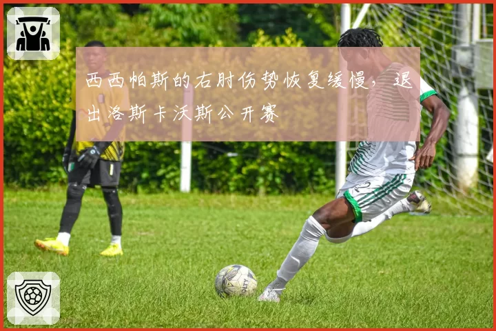 西西帕斯的右肘伤势恢复缓慢，退出洛斯卡沃斯公开赛